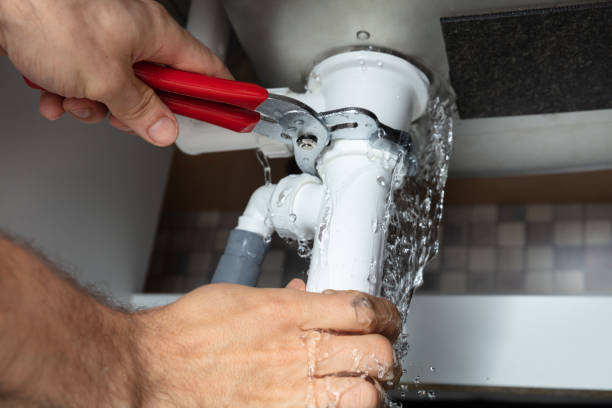 Best Professional water damage repair  in Smithers, WV