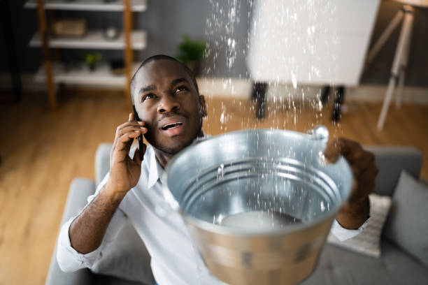 Best Flood damage cleanup  in Smithers, WV