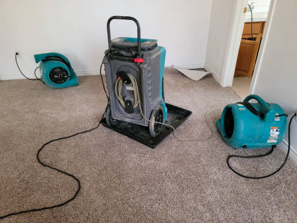 Best Residential water damage restoration  in Smithers, WV