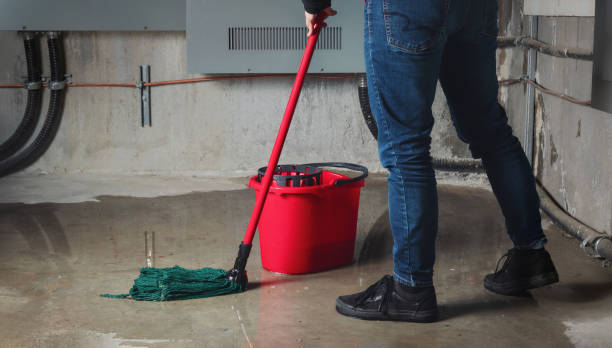 Best Water damage restoration near me  in Smithers, WV