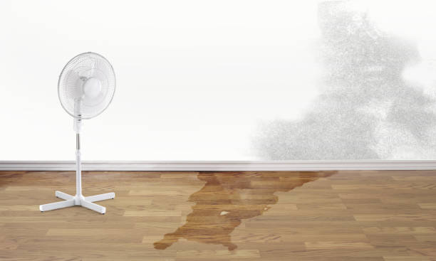 Best Ceiling water damage repair  in Smithers, WV