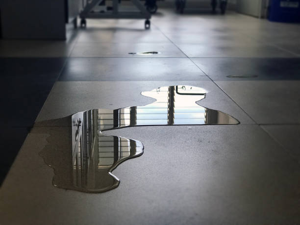 Best 24/7 water damage repair  in Smithers, WV