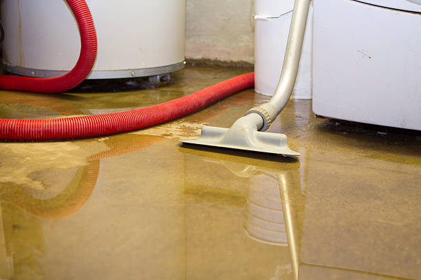 Best Water damage restoration process  in Smithers, WV