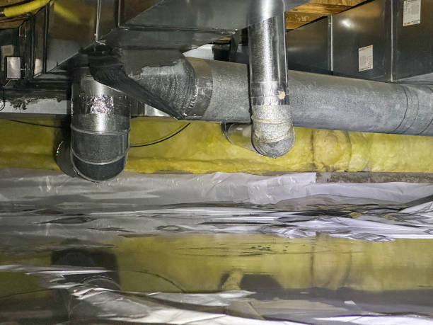 Best Water damage cleanup near me  in Smithers, WV