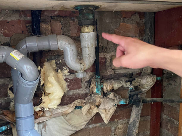 Best Basement water damage restoration  in Smithers, WV