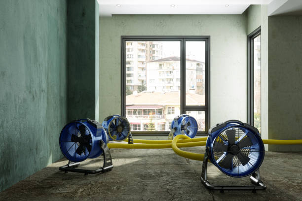 Best Emergency water damage restoration  in Smithers, WV