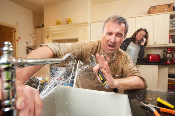 Best Carpet water damage restoration  in Smithers, WV